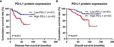 PD-L1 Protein Expression Is Associated With Good Clinical Outcomes and Nomogram for Prediction of Disease Free Survival and Overall Survival in Breast Cancer Patients Received Neoadjuvant Chemotherapy